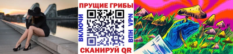 Галлюциногенные грибы Psilocybine cubensis Купить закладки Красноярск